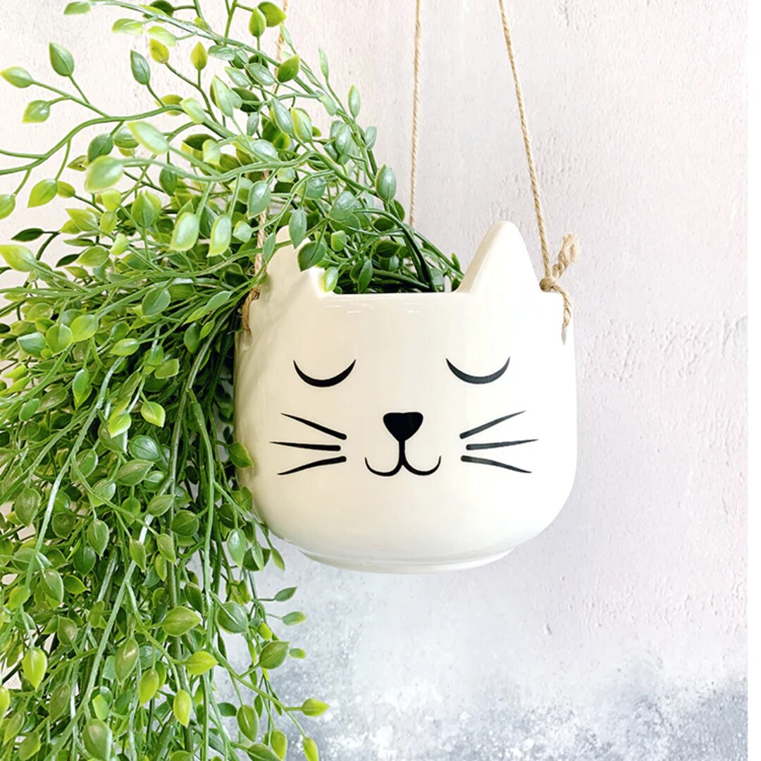 Cat Hanging Succulent Cat Hanging Succulent